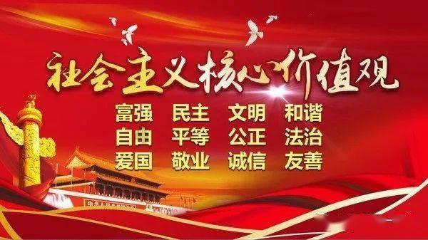 冷知识分享平台-什么颜色的猫最旺财,揭秘你不知道的世界奥秘